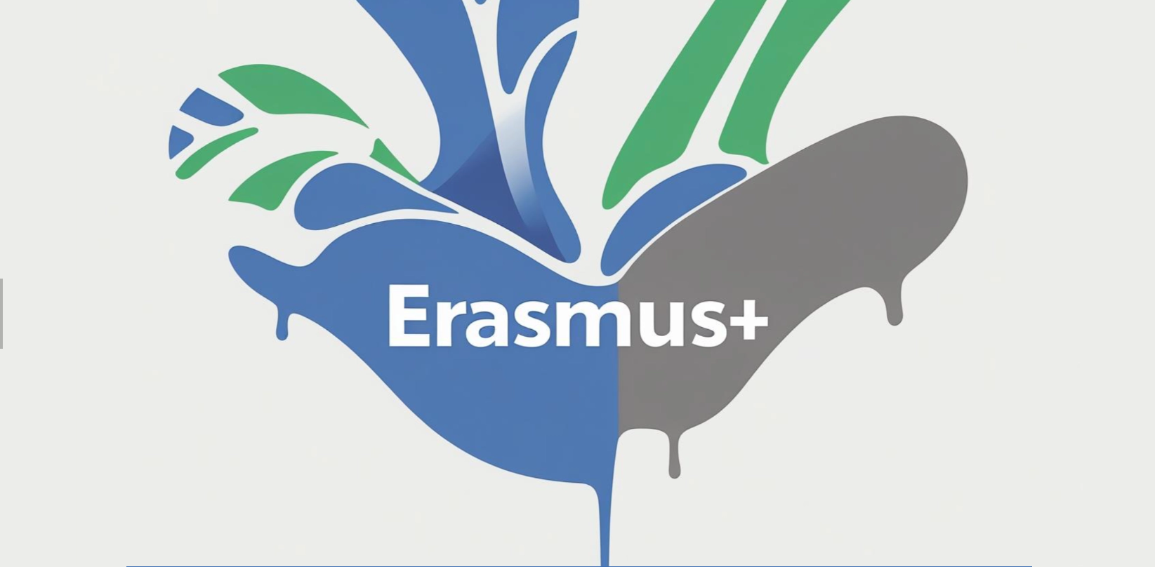 Partnership network and collaboration